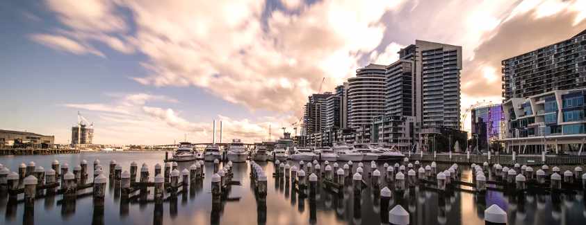 Docklands Fishing Guide