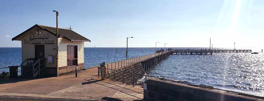 St Leonards Pier Fishing Guide 2020