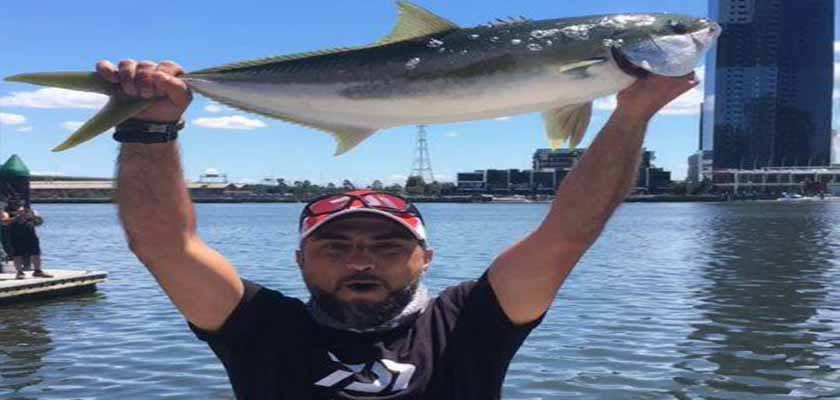 How to Catch Kingfish around Melbourne & Victoria