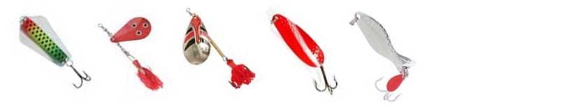 True and tested lures to catch redfin