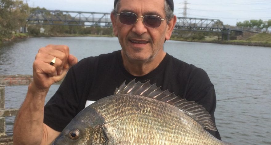 Big Bream from the Maribrynong River