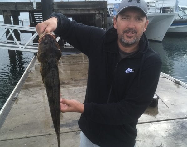 Phillip Island flathead fishing