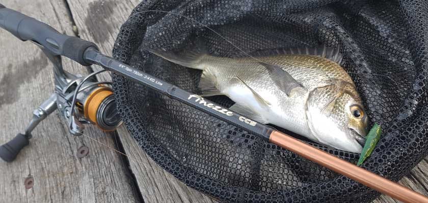 Top 10 lures for catching bream