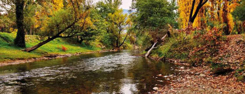 Ovens River Fishing Guide