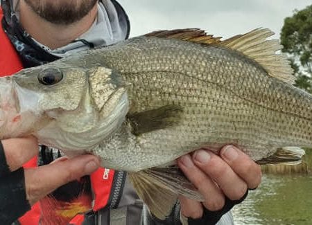 Estuary Fishing