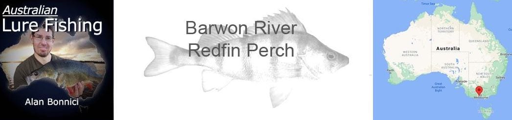 Barwon River Redfin