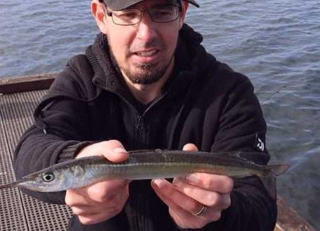 Garfish Fishing around Melbourne