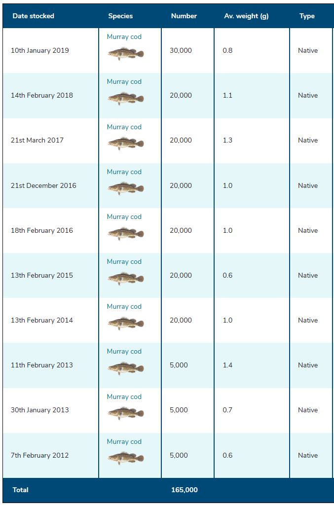 Mitta Mitta River Fishing Guide