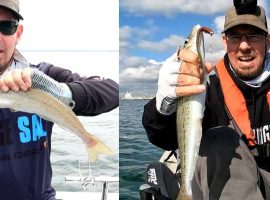 How to Catch Whiting on Soft Plastics