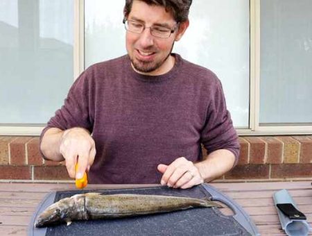 How to Fillet a Whiting