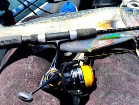 Savage Gear SG8 Reel Review