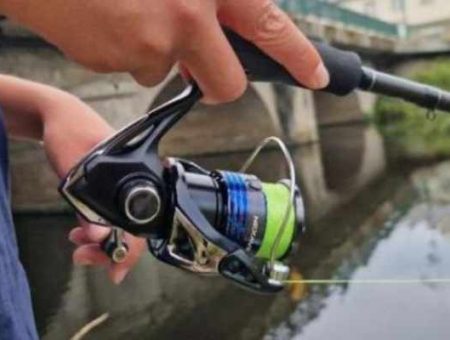 Shimano Nexave Review