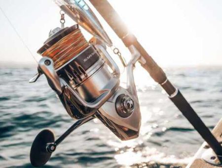 Shimano Saragosa SW Reel Review