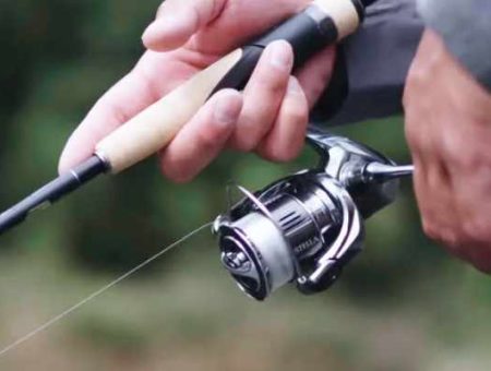 Shimano Stella FK Reel Review