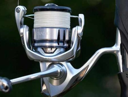 Shimano Stradic FL Review