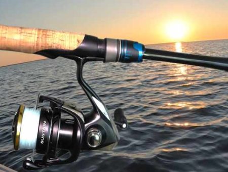 Shimano Tcurve Premium Review