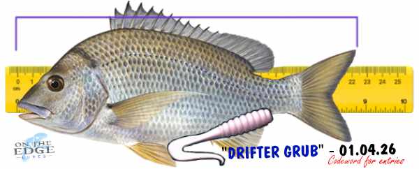 2604 Bream
